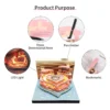 Omoshiroi Block 3D Memo Pads Love Model Note Cubes With Led Lamp Non Sticky Pen Hole 4 - Omoshiroi Block UK Store